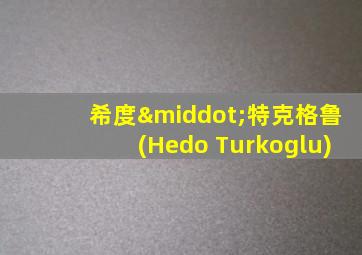 希度·特克格鲁(Hedo Turkoglu)